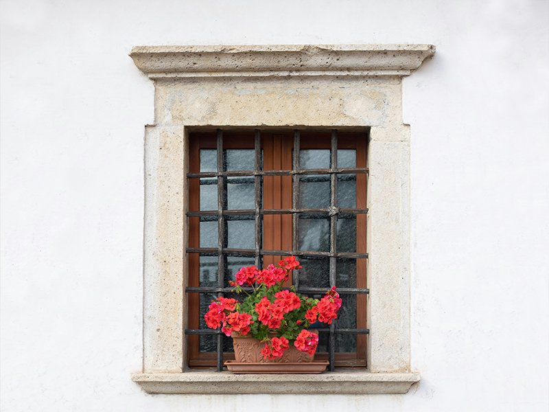 Window with stone frame and red flowers in a pot on the sill