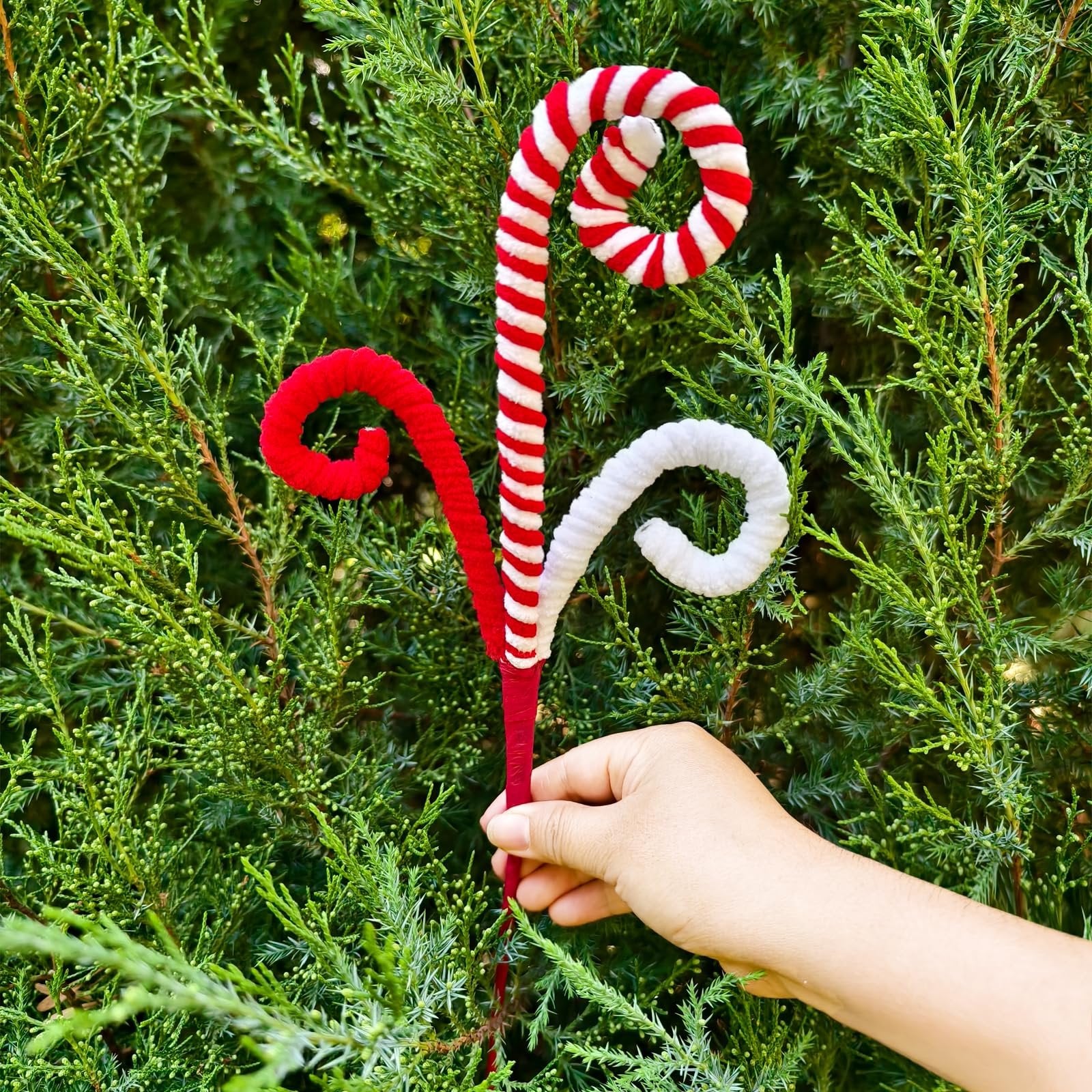 Hand holding a red and white candy cane Christmas tree pick against a green evergreen background