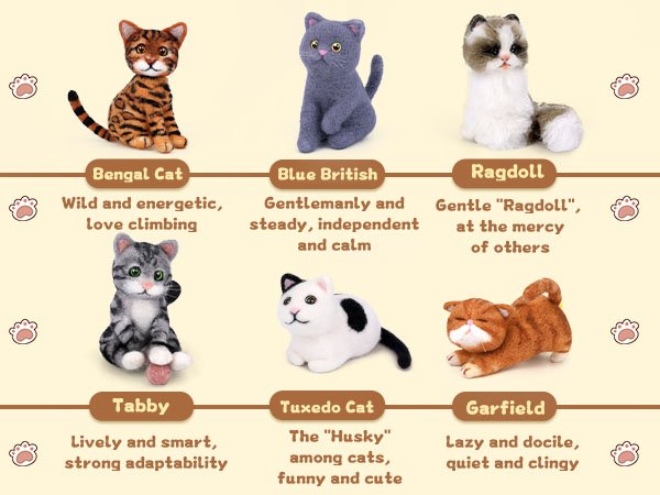 Six needle-felted cat figures with breed names and descriptions below each