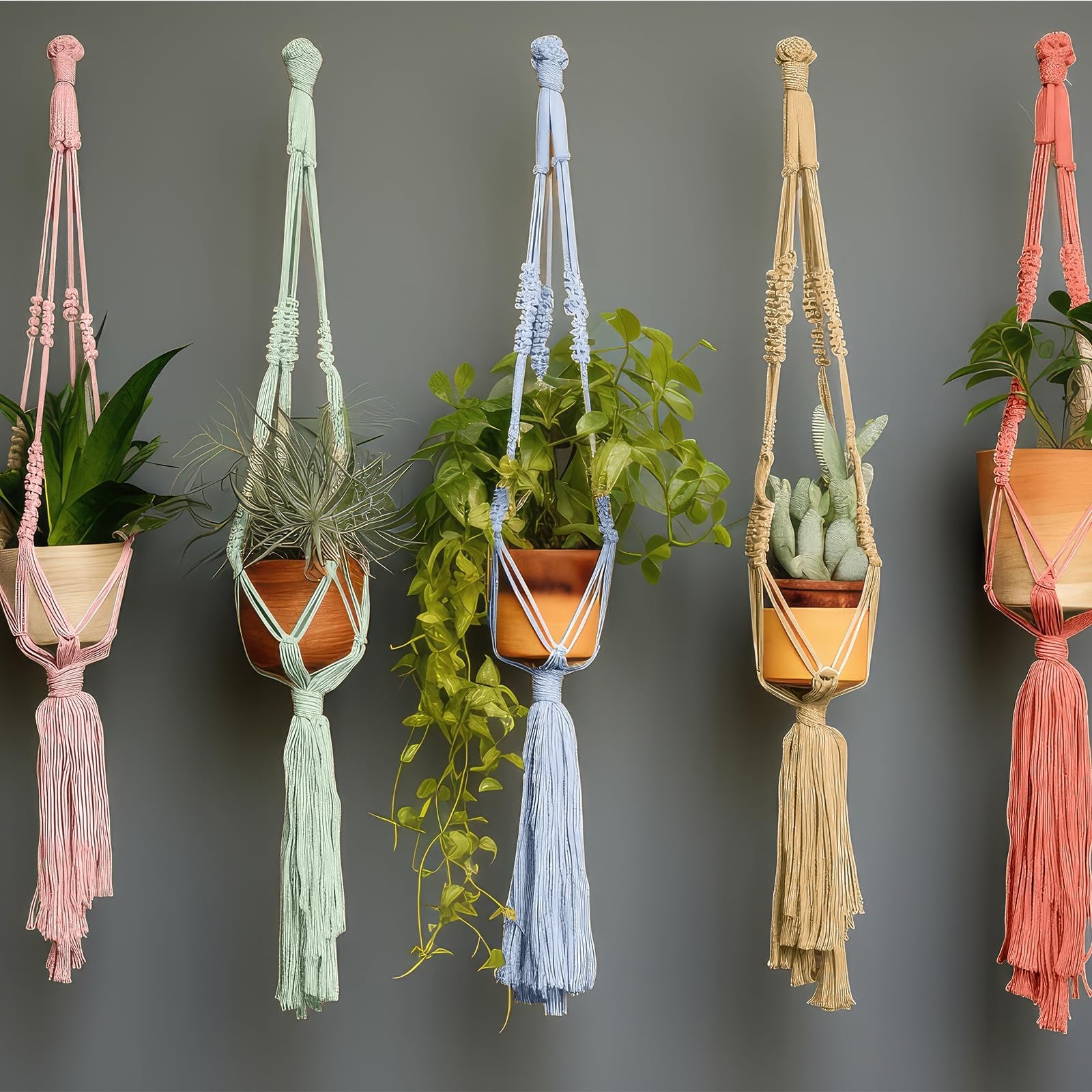 Five macrame plant hangers in pink, mint green, light blue, tan, and coral, each holding a potted plant and hanging against a gray wall.