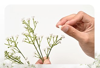 Hand holding a small white artificial baby's breath flower stem against a bouquet of similar flowers.