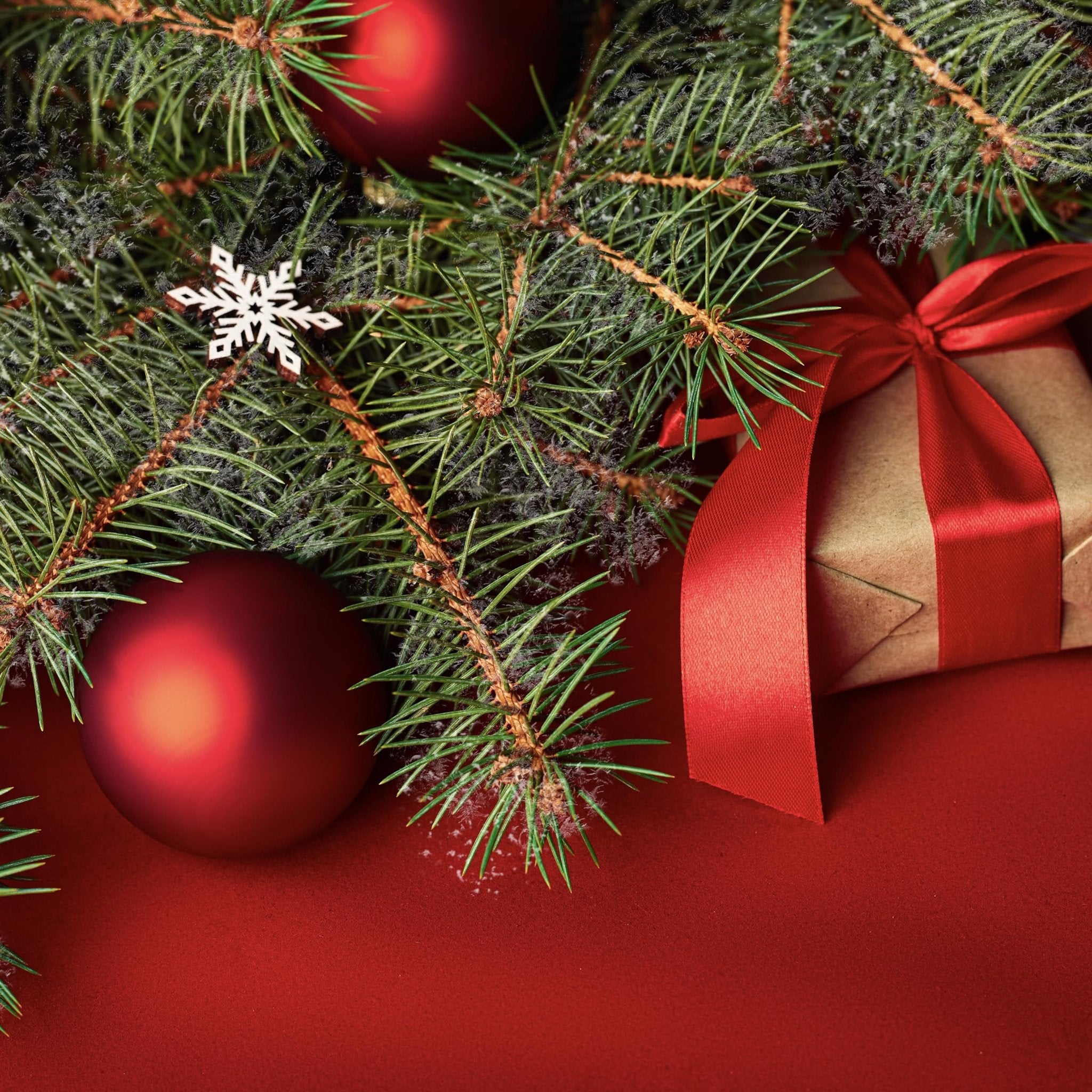 Christmas tree branch with red ornaments, a gift box with red ribbon, and a snowflake ornament on a red background