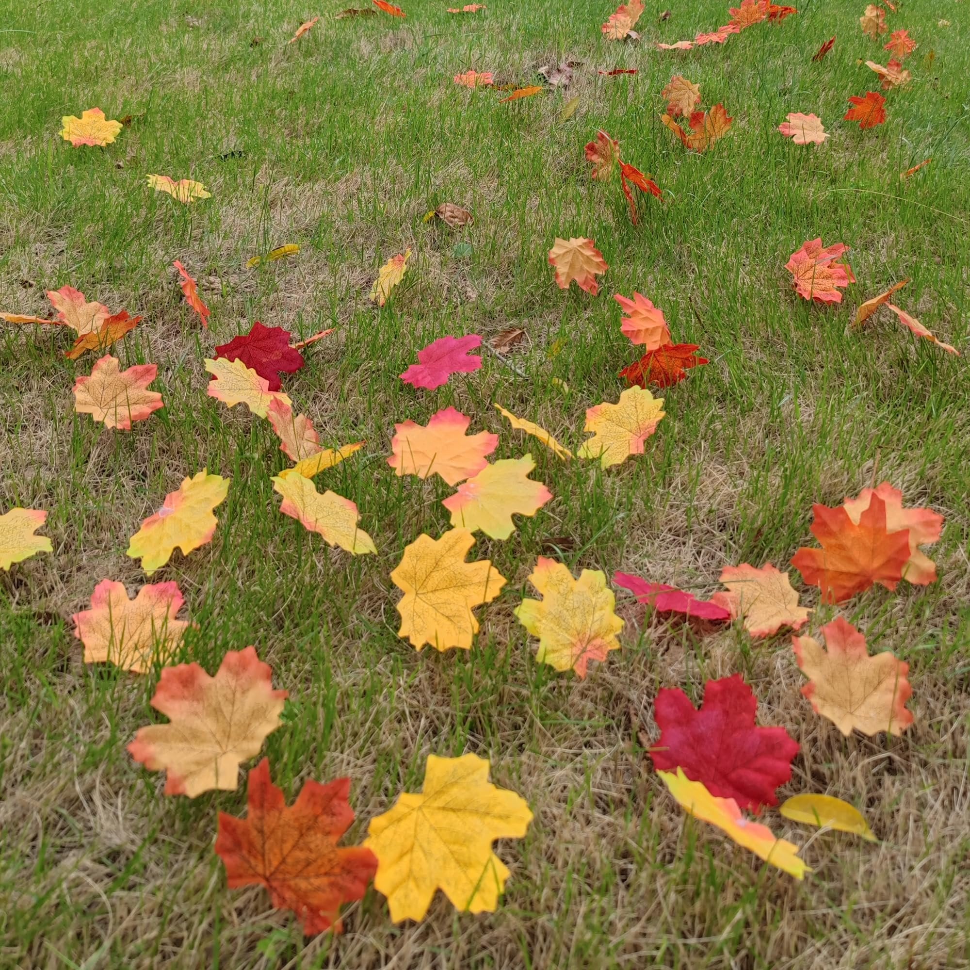 Scattered artificial maple leaves in red, orange, and yellow hues on green grass, simulating an autumn scene.