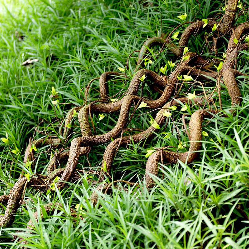Bendable artificial tree vine garland with green shoots intertwined with lush green grass.