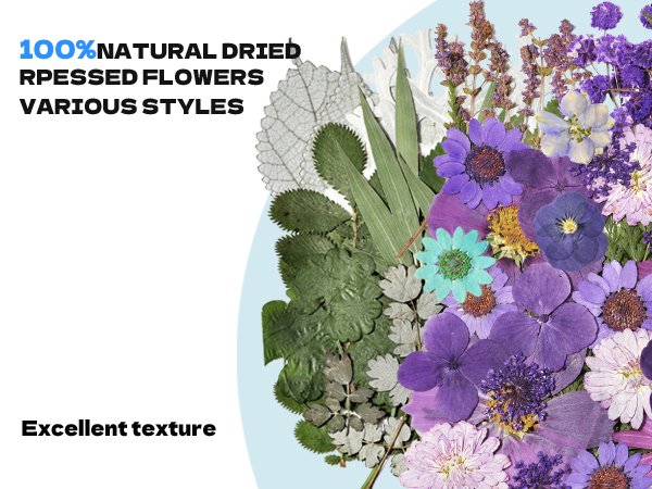 Assortment of 100% natural dried pressed flowers and leaves in various purple and green hues, with text overlays.