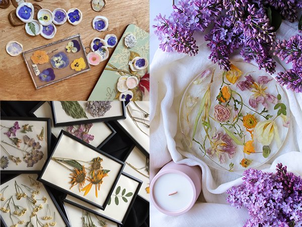 Collage of pressed flowers and dried leaves in various arrangements, including framed specimens and resin art.