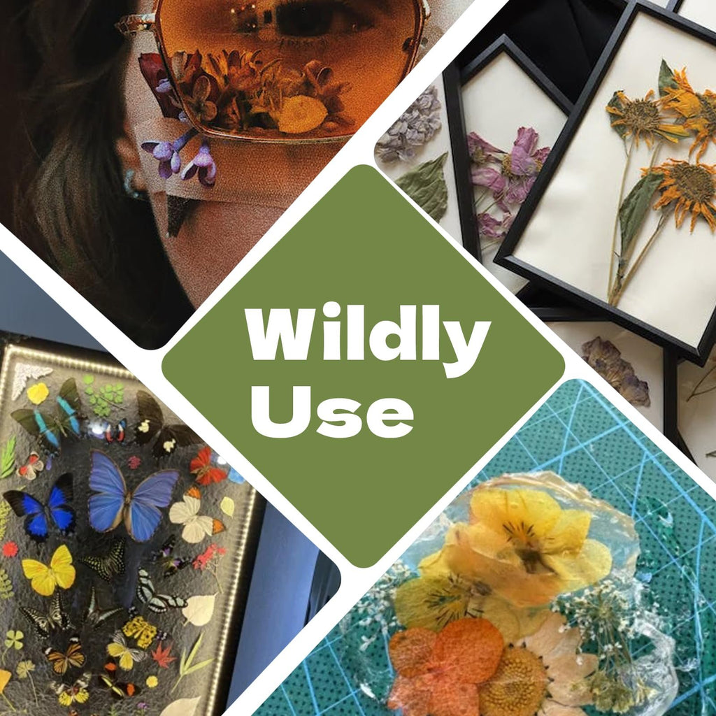 Collage of pressed flowers and butterflies in various arrangements, including framed art and resin crafts.