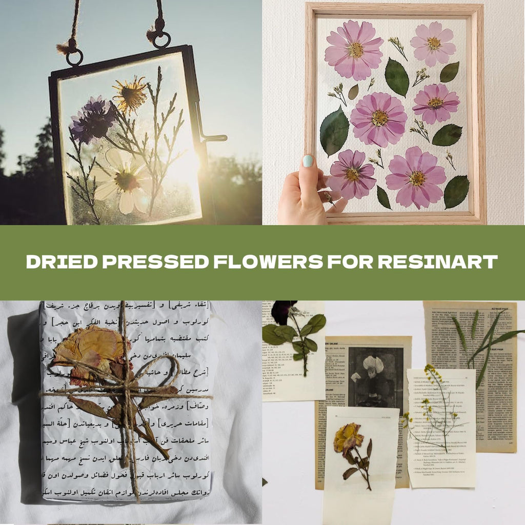 Collage of pressed flowers in frames and on paper, with text overlays.