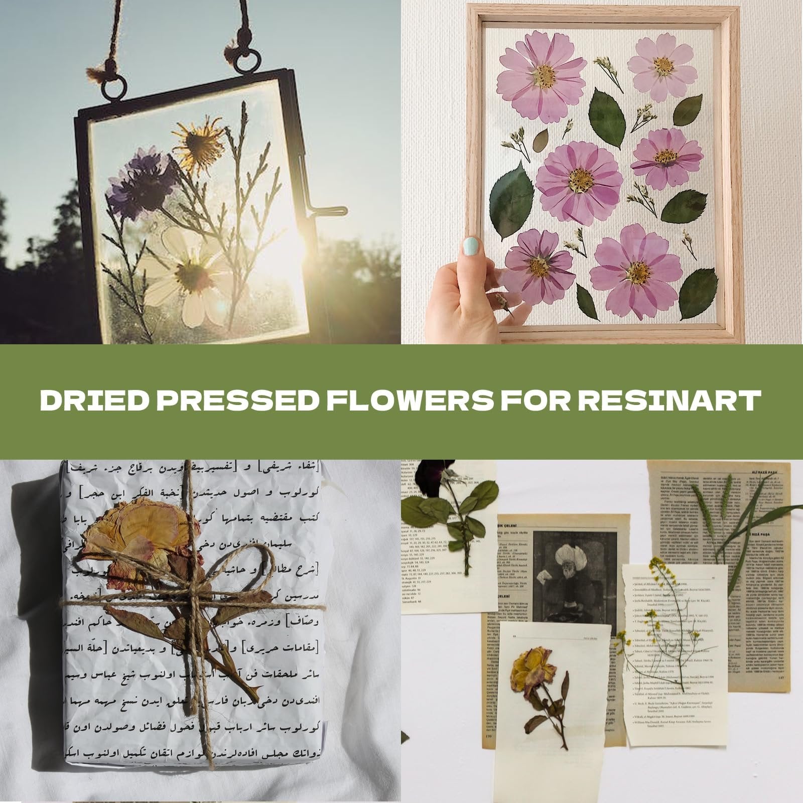 Collage of pressed flowers in frames and on paper, with text overlays.