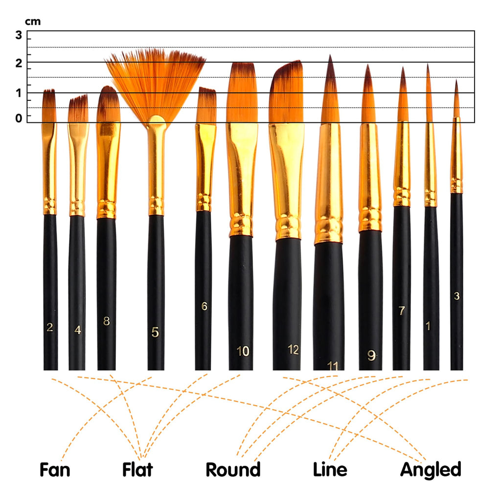 Various paint brushes with size markings and type labels, shown against a cm ruler.