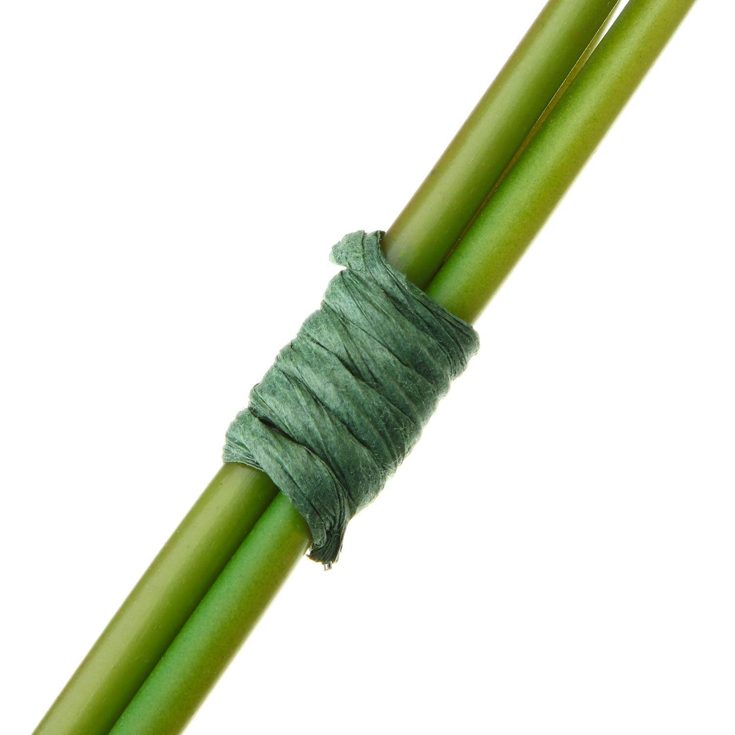 Close-up of dark green floral bind wire wrapped around two green stems on a white background.