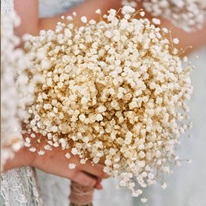 Bouquet of dried ivory white baby's breath flowers held by hands, with twine-wrapped stem.