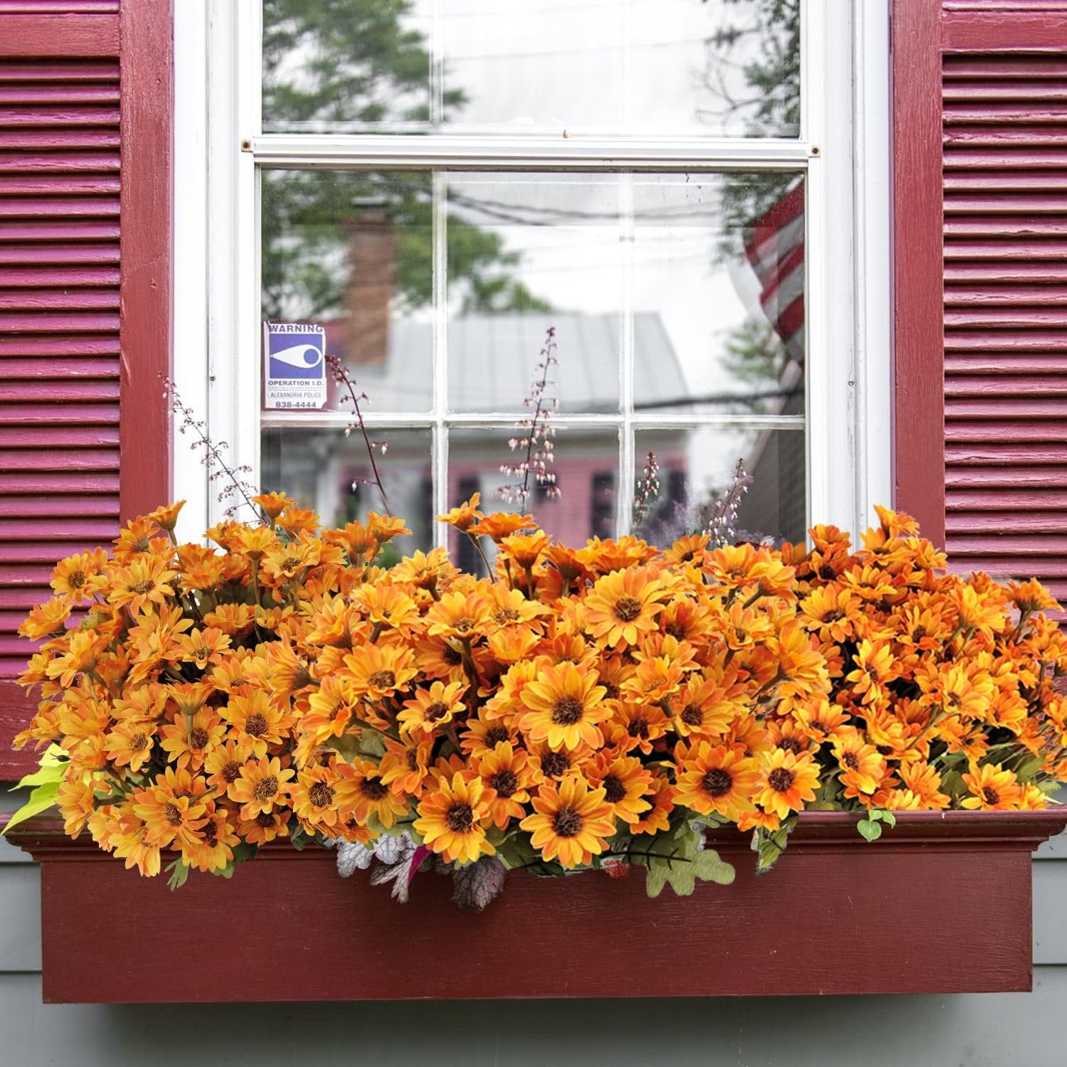 Window box filled with orange artificial mums in front of a window with red shutters