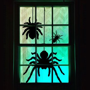 Halloween window with black spider silhouette clings and green-blue glow