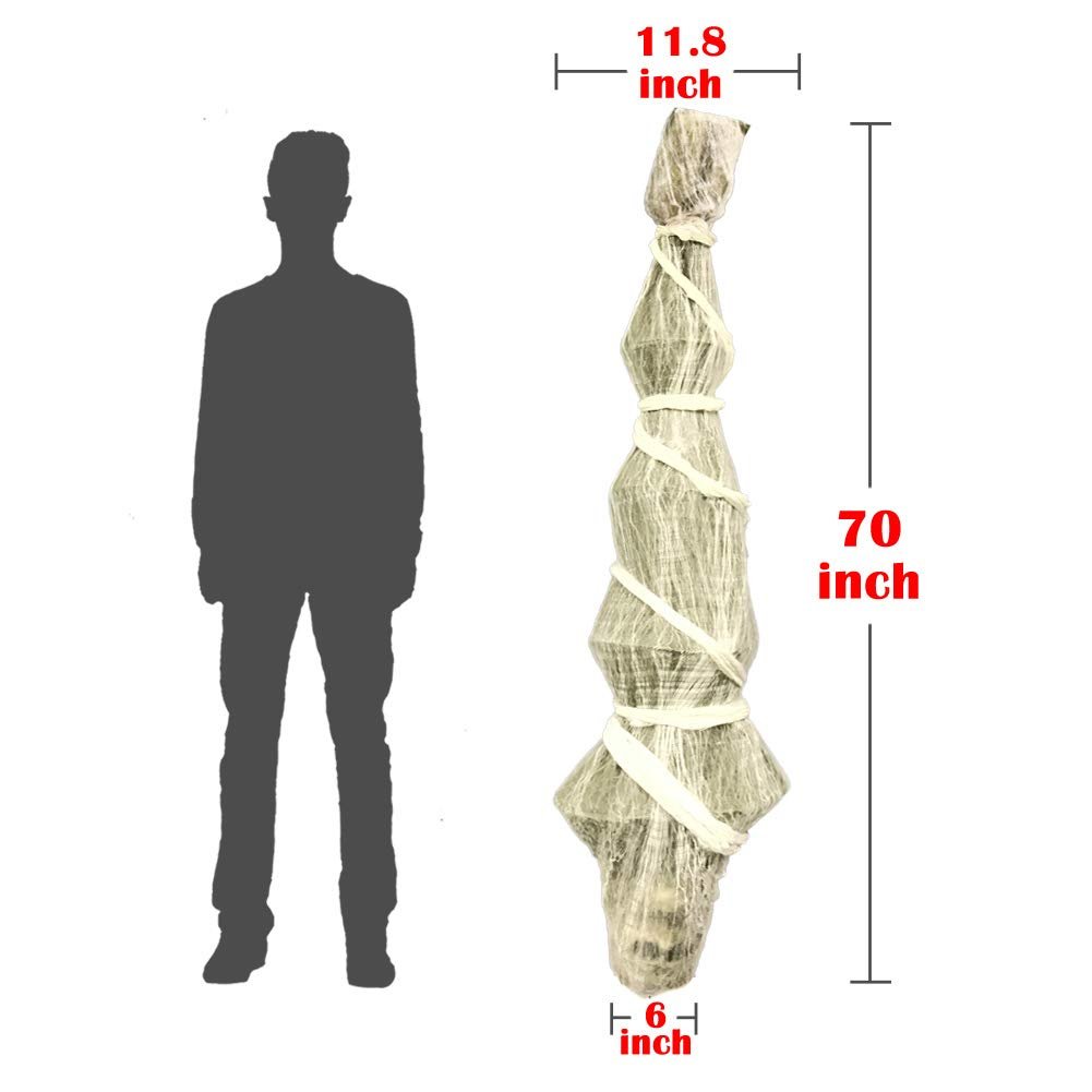 Hanging skeleton prop with size dimensions shown next to a silhouette of a person
