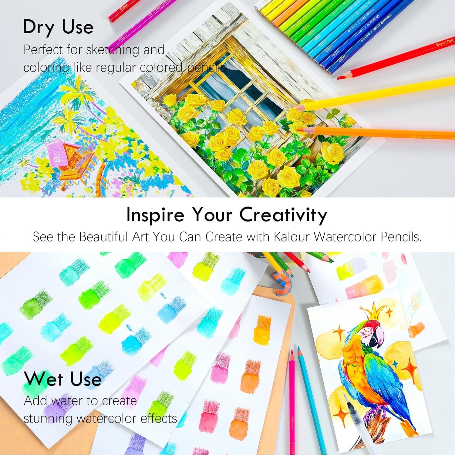 Watercolor pencils shown in dry and wet use applications, with examples of sketches and watercolor paintings.