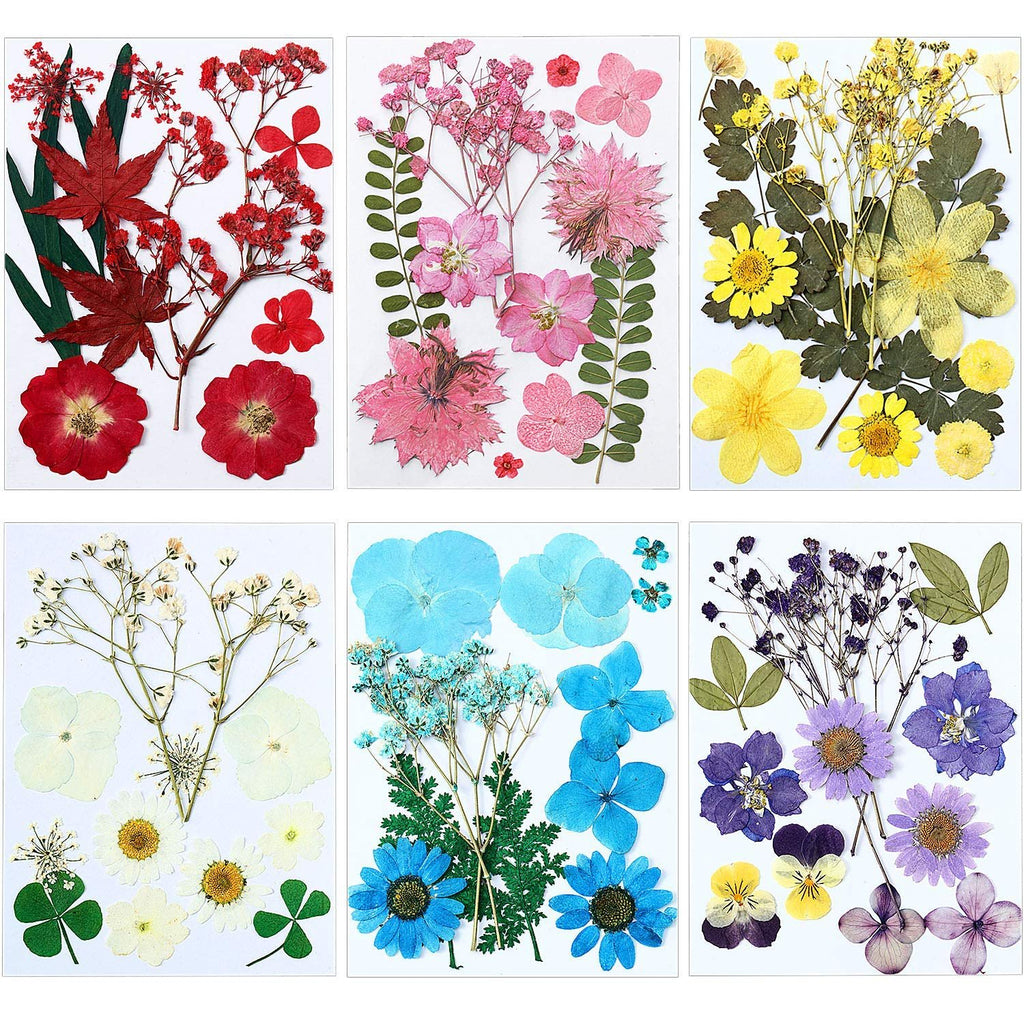 Six panels of dried pressed flowers and leaves in various colors including red, pink, yellow, white, blue, and purple.
