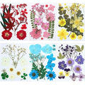 Six panels of dried pressed flowers and leaves in various colors including red, pink, yellow, white, blue, and purple.