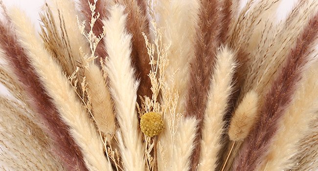 Close-up of a dried pampas grass arrangement with white, beige, and brown plumes and delicate dried flowers.
