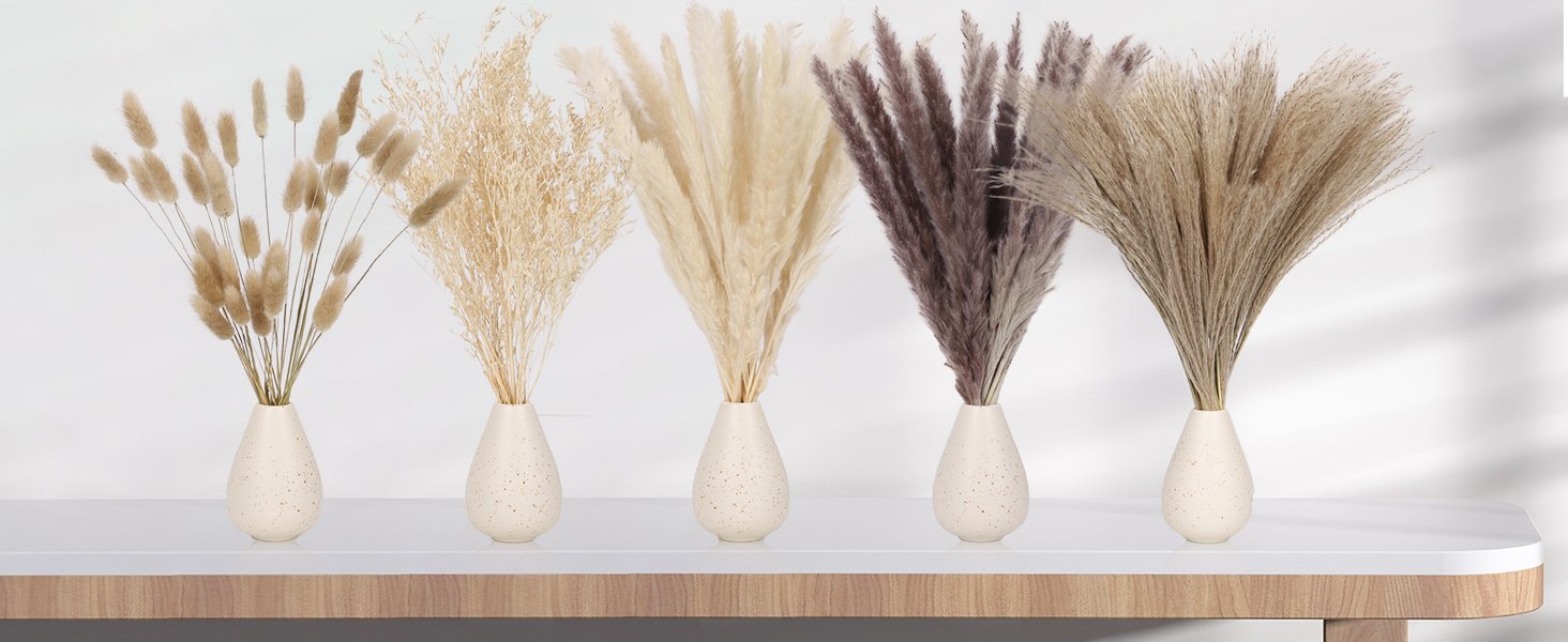 Five vases with assorted dried pampas grass and bunny tail stems arranged on a white shelf.