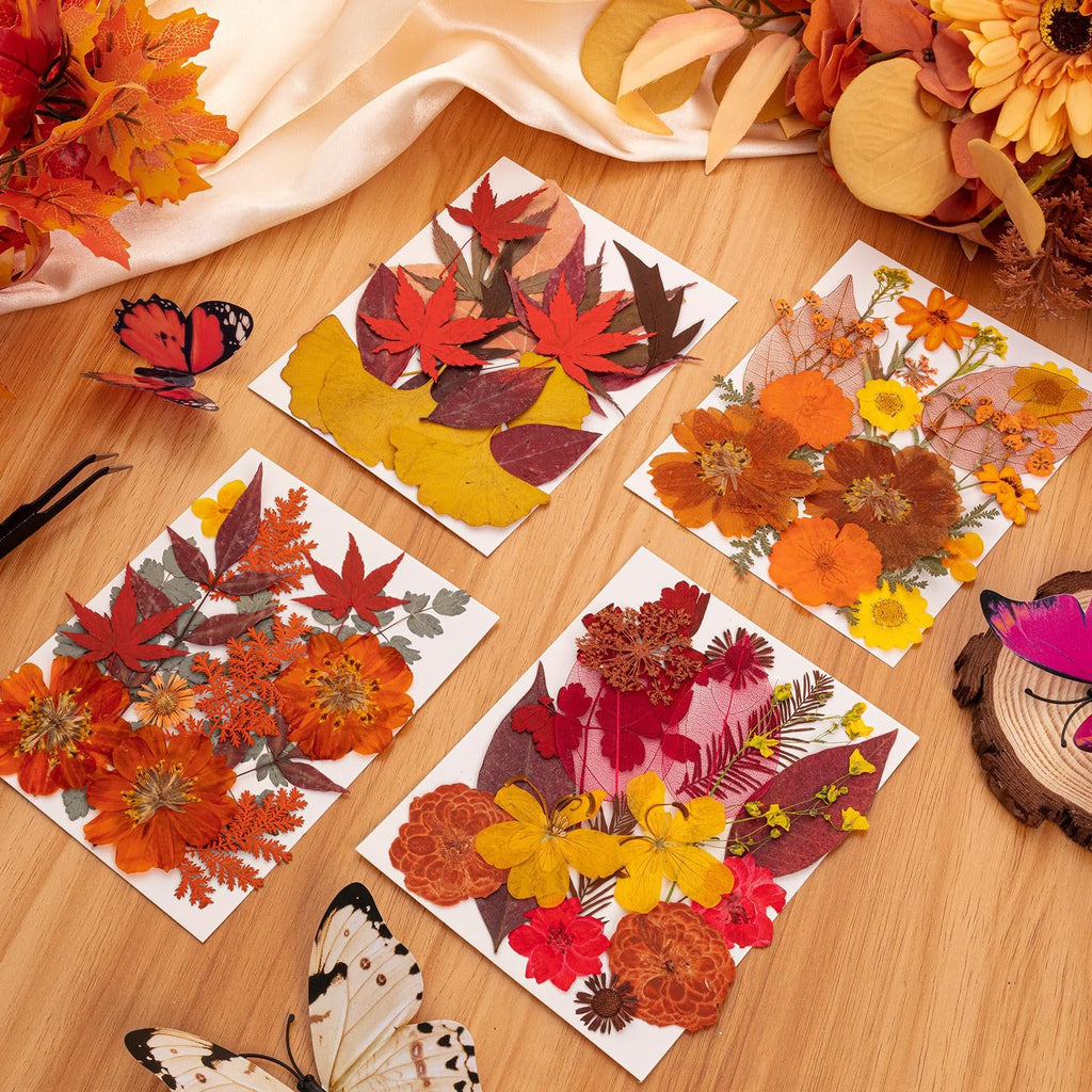 Four arrangements of dried pressed fall flowers and leaves on white cards, with decorative butterflies and tweezers.