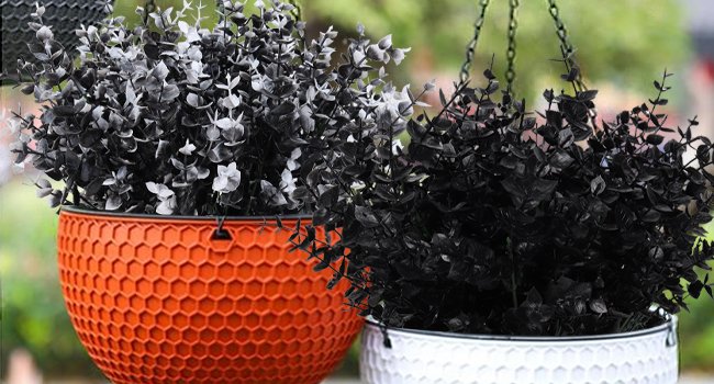 Two hanging baskets filled with artificial eucalyptus plants, one orange and one white, with a blurred green background.