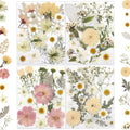 Four panels of assorted dried pressed flowers in yellow, white, and pink tones, with some foliage and tweezers.
