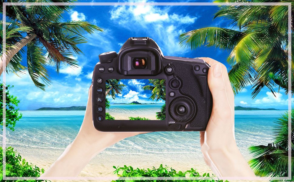 Hands holding a DSLR camera showing a tropical beach scene on its screen, with palm trees and ocean.