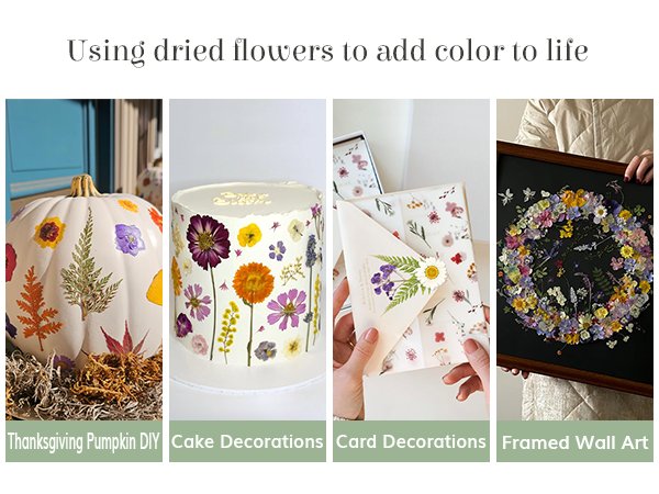 Collage of four images showing dried flowers used for crafts: a decorated pumpkin, a cake, a card, and a framed wreath.