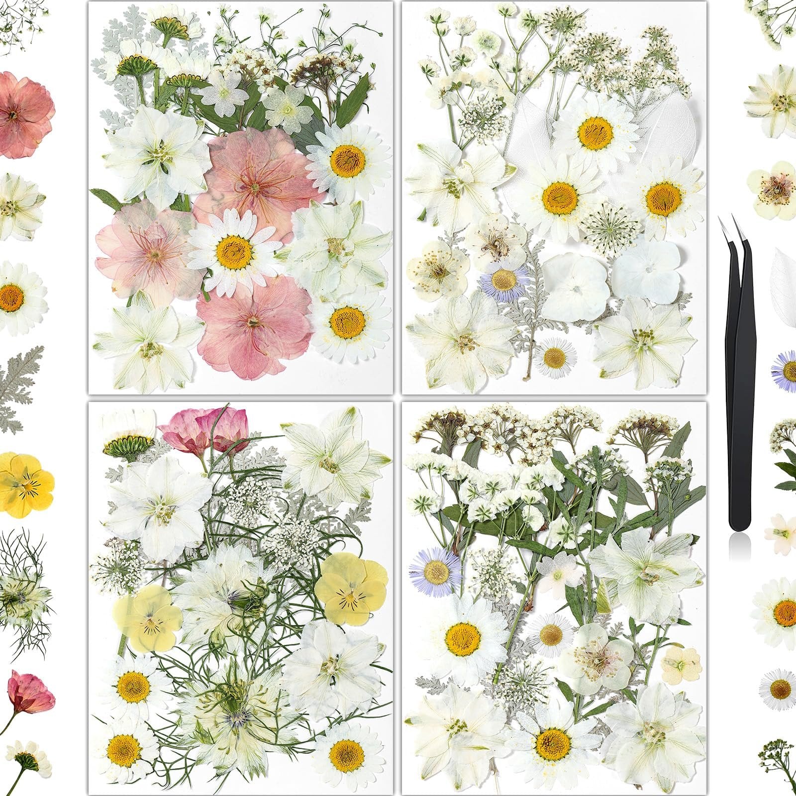 Collage of four panels displaying assorted dried pressed flowers and leaves in white, pink, and yellow tones, with a pair of tweezers on the right.