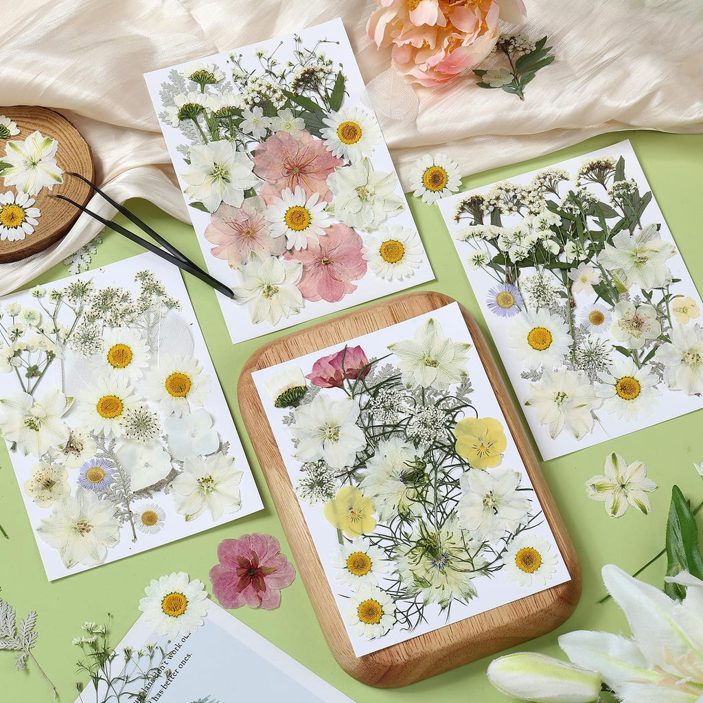 Assortment of pressed flowers and leaves arranged on white cards, with tweezers nearby.