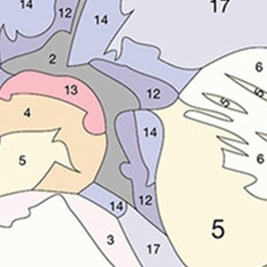 Close-up of a paint by numbers canvas showing numbered sections in pastel colors, including 2, 4, 5, 6, 12, 13, 14, and 17.