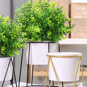 Three artificial boxwood greenery plants in white pots with modern stands, one with gold accents.