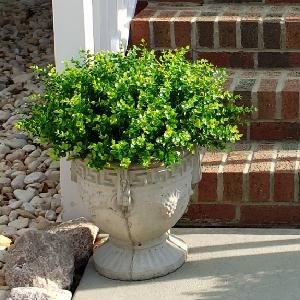 Artificial boxwood greenery in a decorative urn on a patio with brick steps in the background.