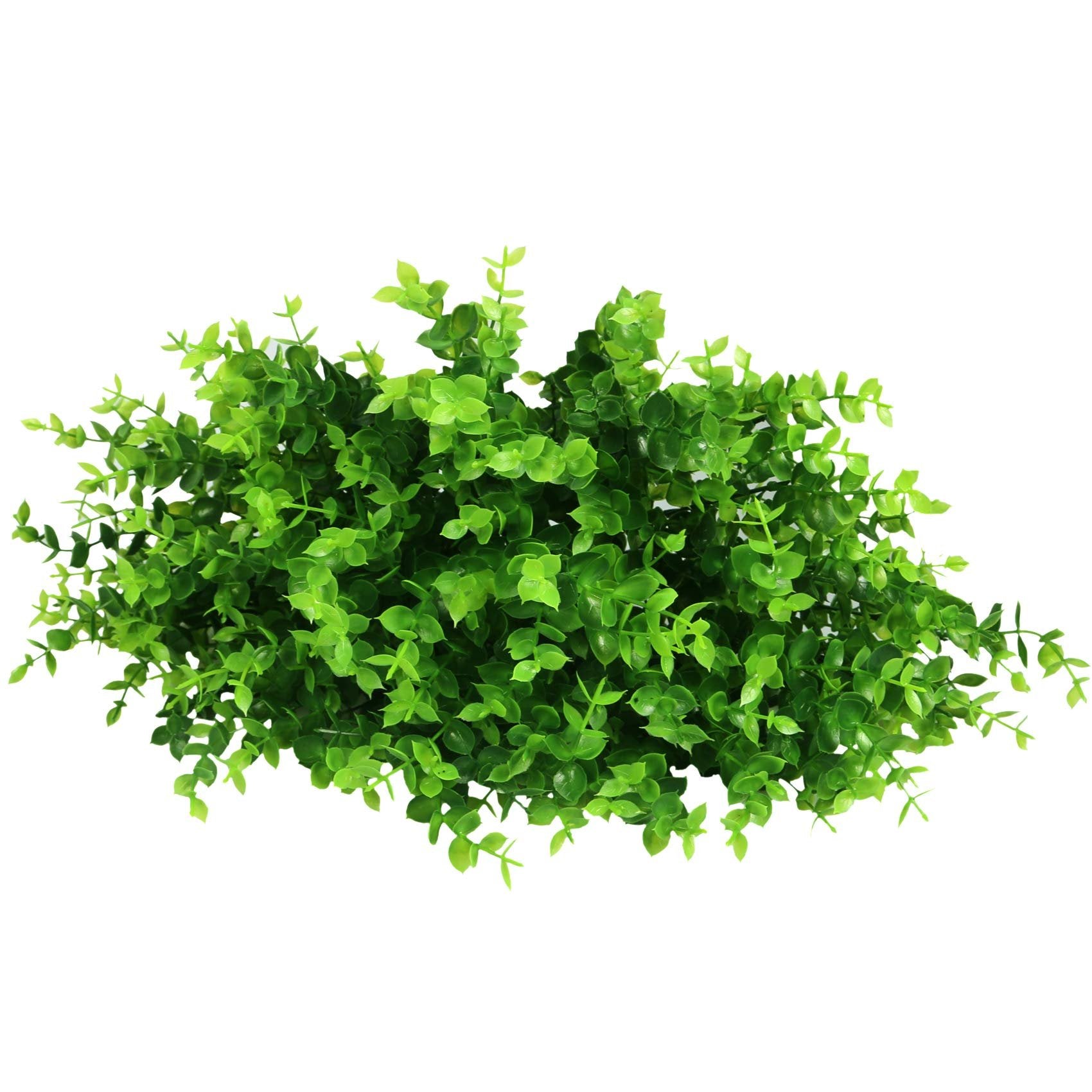 Bundle of artificial boxwood greenery with small green leaves on a white background