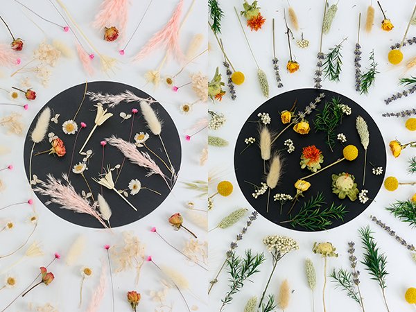 Two circular arrangements of dried flowers and grasses on a white background, showcasing various textures and colors.