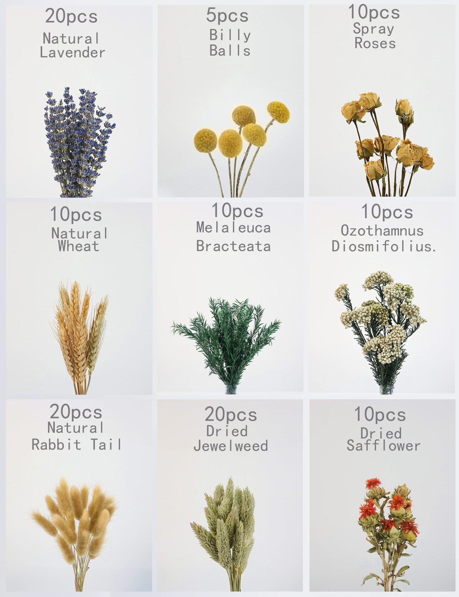 Collage of nine dried flower bouquets including lavender, billy balls, spray roses, wheat, melaleuca, ozothamnus, rabbit tail, jewelweed, and safflower.