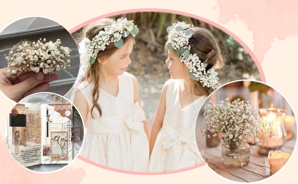 Collage of dried baby's breath flowers: a comb, flower crowns on girls, and a bouquet in a jar.