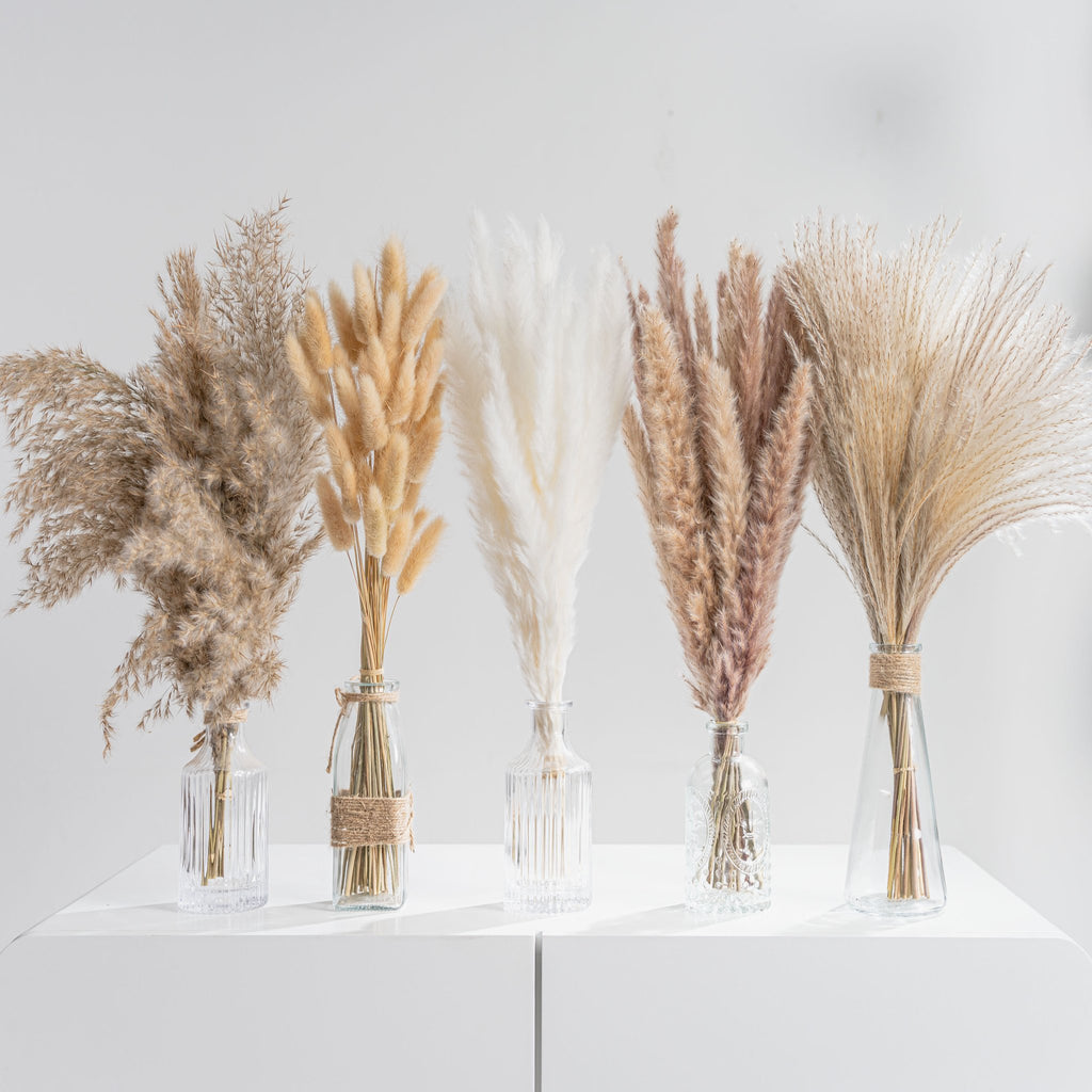 Five glass vases with assorted dried pampas grass and bunny tail grass bouquets on a white surface.