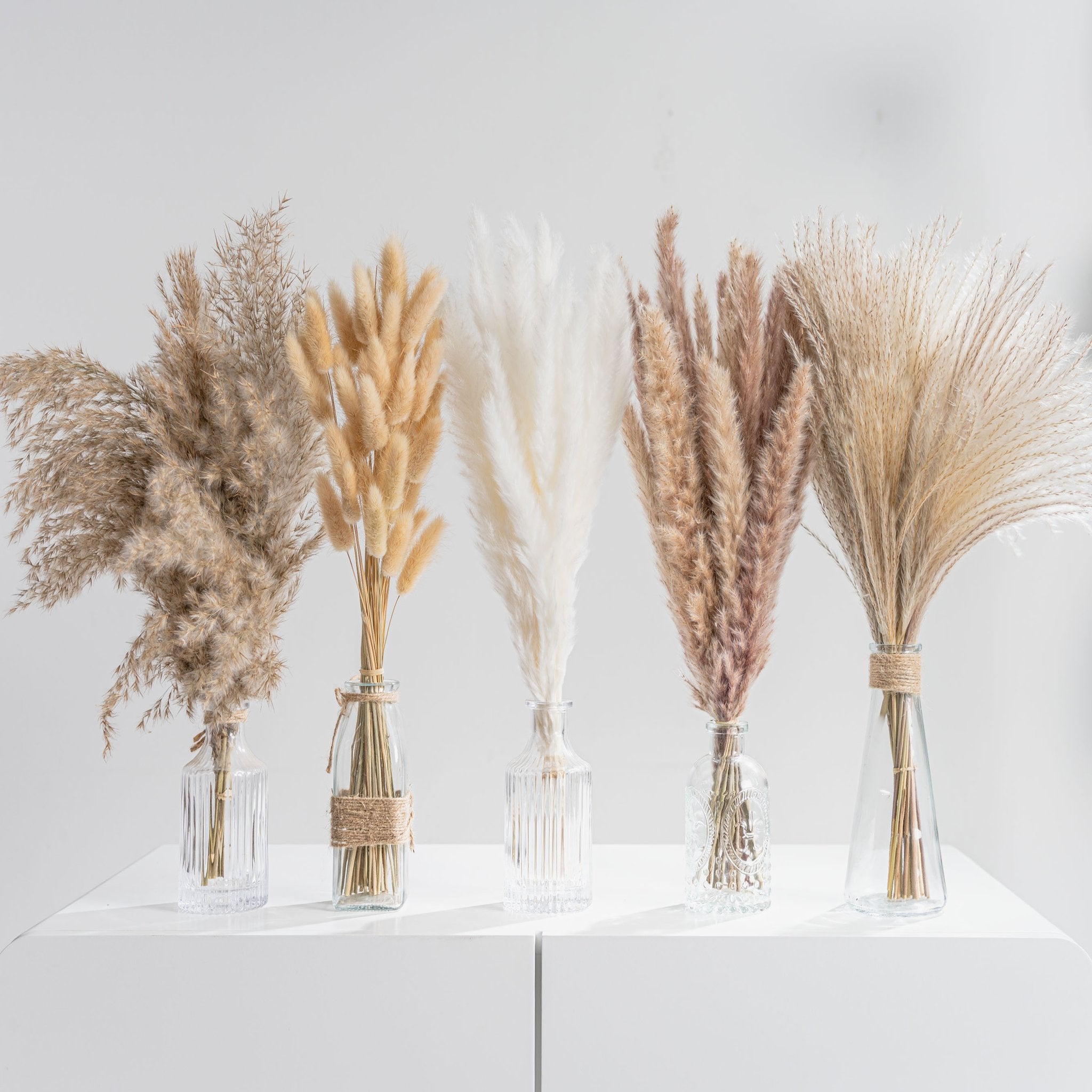 Five glass vases with assorted dried pampas grass and bunny tail grass bouquets on a white surface.