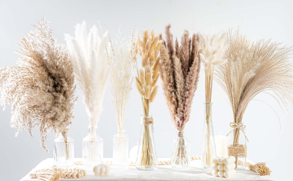 Assortment of dried pampas grass and bunny tail stems in clear glass vases on a white textured surface.