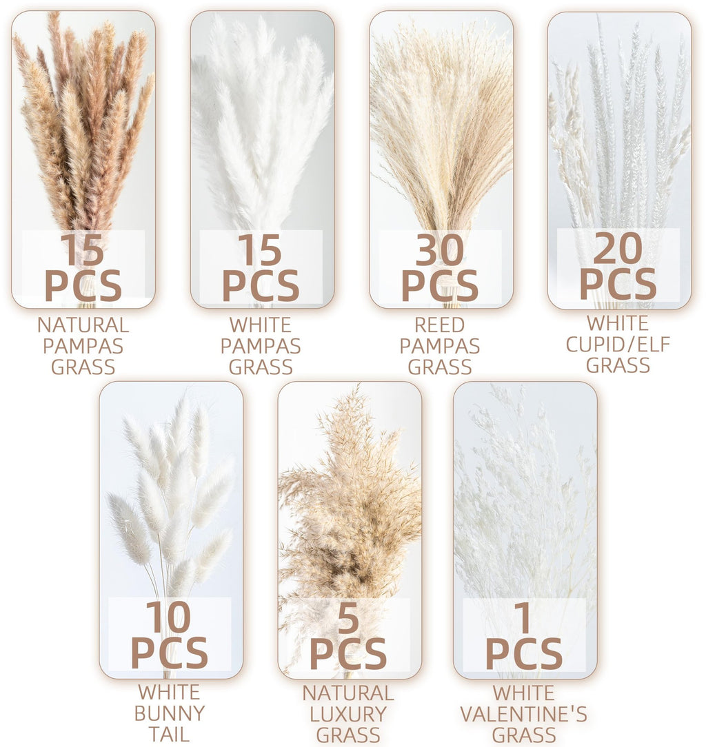 Collage of dried pampas grass bouquets in various types and quantities against a white background.