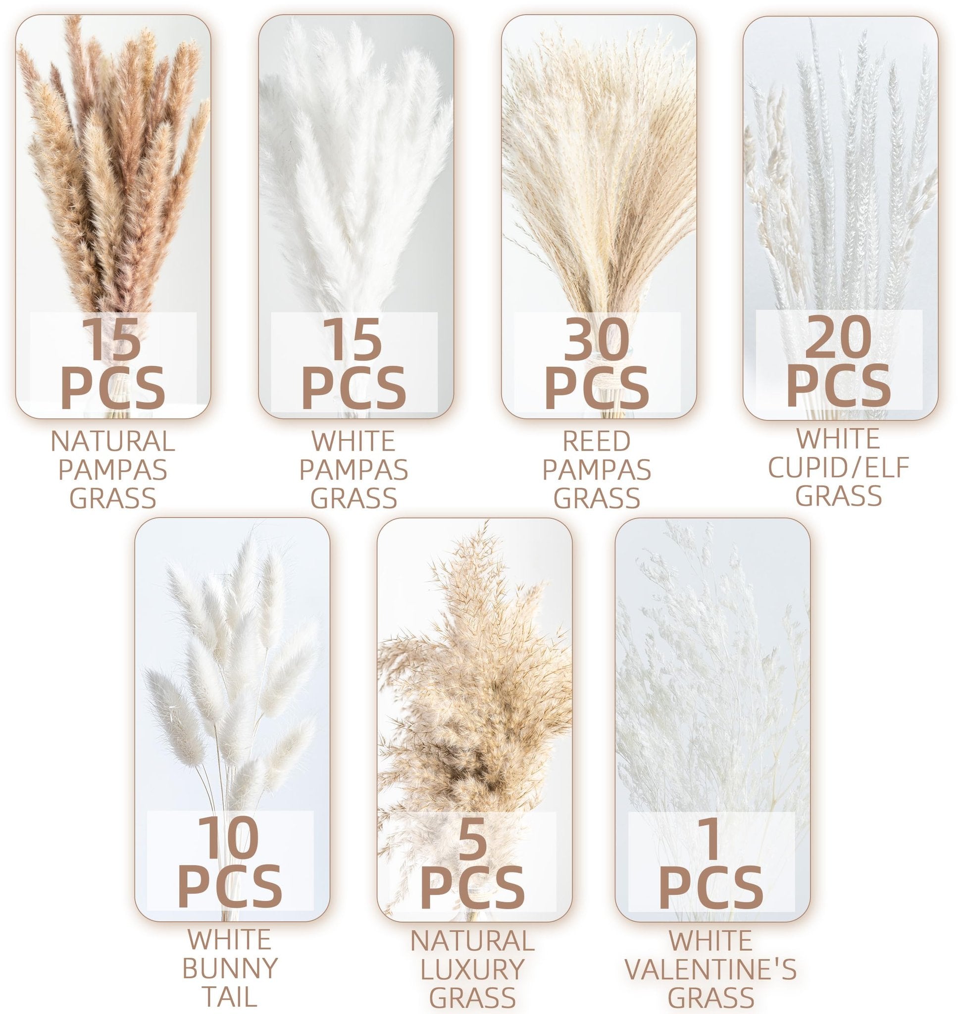 Collage of dried pampas grass bouquets in various types and quantities against a white background.