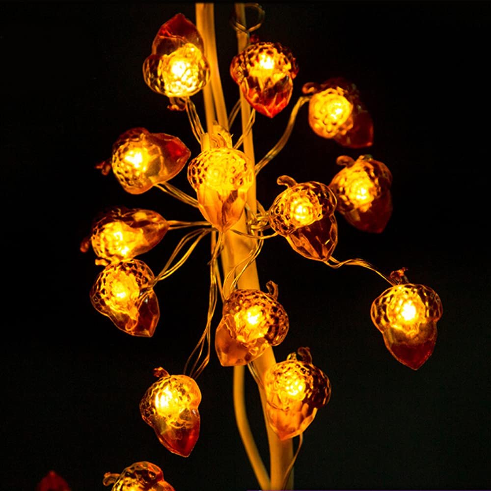 Close-up of acorn-shaped string lights with warm LED bulbs, illuminated against a dark background.