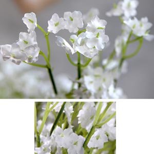 Close-up of white artificial baby's breath flower stems with green accents, showing delicate petals and stems.
