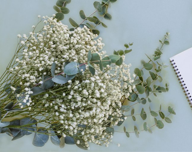 Artificial baby's breath flowers and eucalyptus stems arranged with a notebook on a light blue background