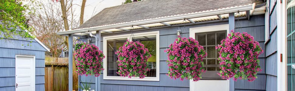 Four hanging baskets filled with vibrant purple flowers and green foliage, suspended from the eaves of a blue house.