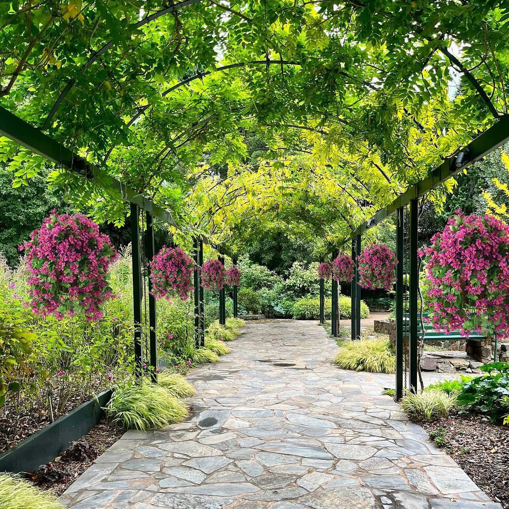 Stone pathway through a garden arbor covered in green leaves with hanging baskets of pink flowers