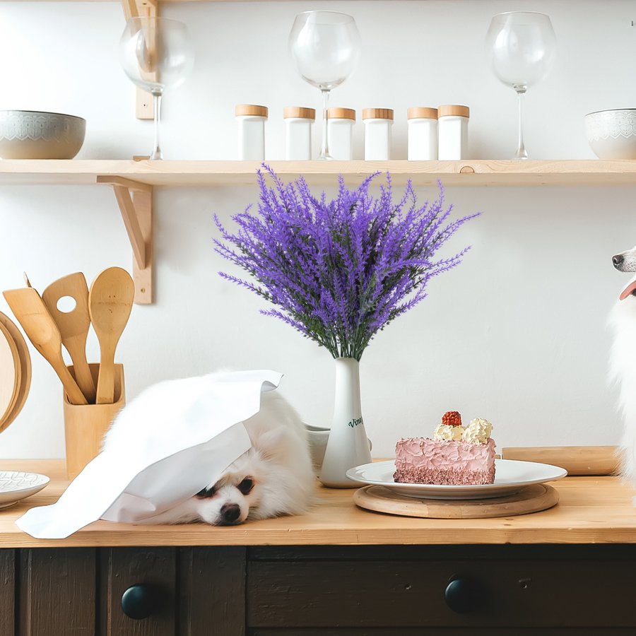 Artificial lavender bundles in a vase on a kitchen counter with a dog and cake