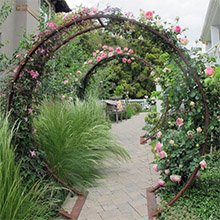 Garden archway covered in pink roses and green foliage, with a paved walkway leading through.